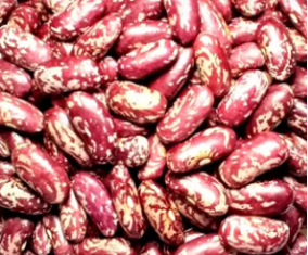 Red Speckled Kidney Beans